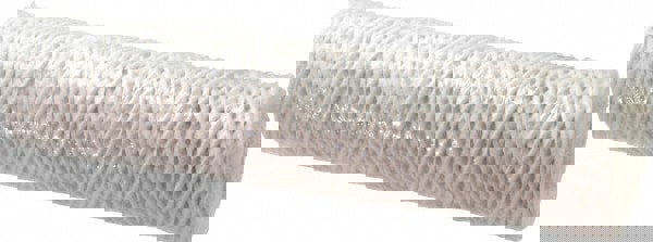 Plumbing Cartridge Filter: 2-1/2